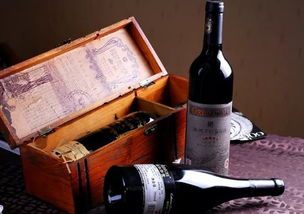 時(shí)間窖藏的奢侈 存酒歲月之美,茶里水街酒香酒庫,讓你盡享法蘭西浪漫