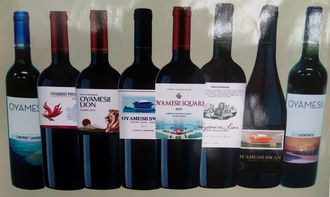 東營澳雅萊 大美東營 系列葡萄酒隆重上市 成宣傳東營的靚麗名片