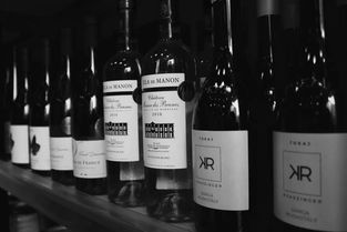 又一家開業(yè),南向坡地引領酒類零售新風向