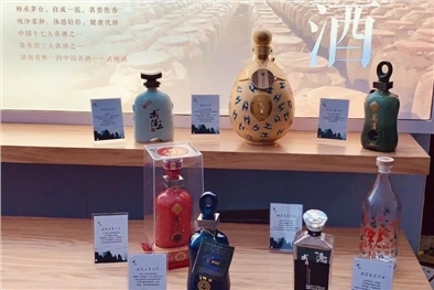 高軟科技-創新型技術服務商