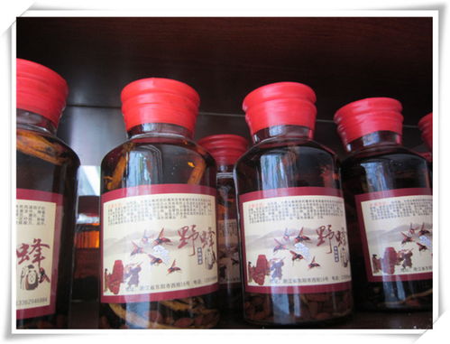 蘭溪嘉行養生酒 精品酒類批發優選，輔仁路優質供應商